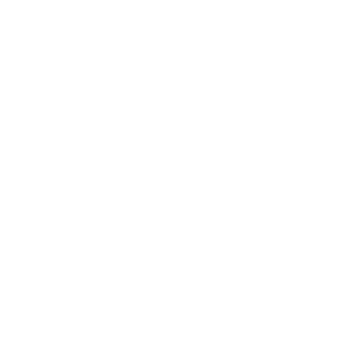 Final Fighter Logo