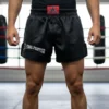 Short de Kick Boxing