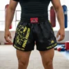 Short Kick Boxing León