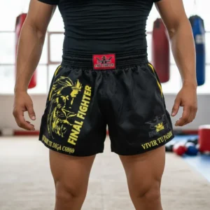 Short Kick Boxing León